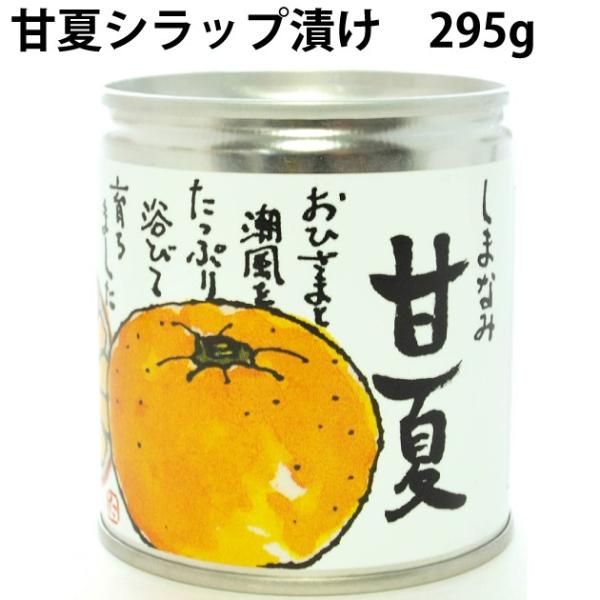 BEMAC 甘夏シラップ漬け 295g缶 24缶 柑橘 缶詰 送料込 : ベジタブル