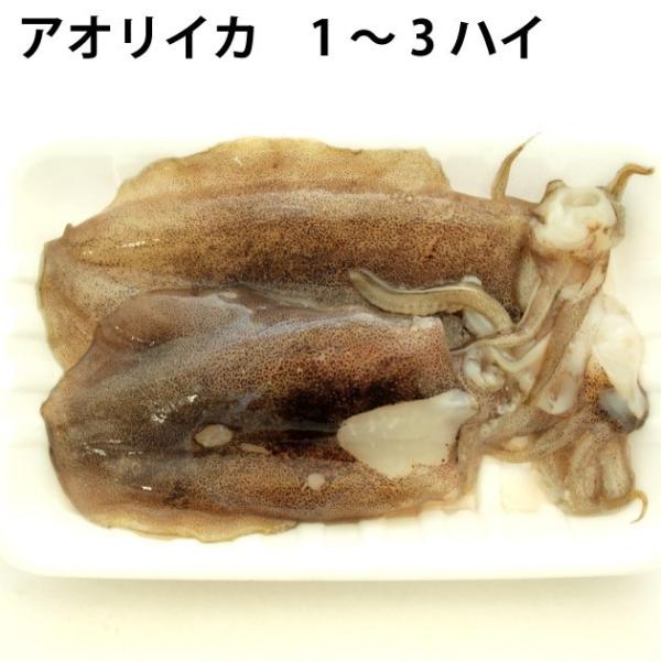 アオリイカ 魚介類の人気商品 通販 価格比較 価格 Com