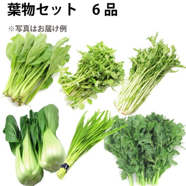 おまかせ　旬の葉物野菜6品セット　お買得価格