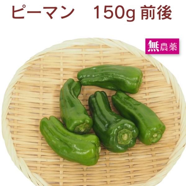 ピーマン　無農薬栽培　150g前後　送料別　緑黄色 常備しておくと便利 無限ピーマン