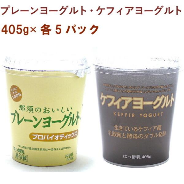 ^JnV ߐ{̂v[[OgEPtBA[Og e5pbNiv10pbNj 