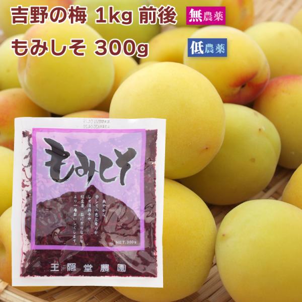 梅干し手作りセット 奈良県産 吉野の梅 梅干し用 無農薬  1kg前後・もみしそ 低農薬 自家製梅干し