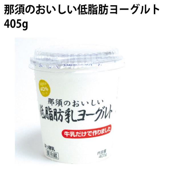 タカハシ乳業 低脂肪ヨーグルト 405g 1パック