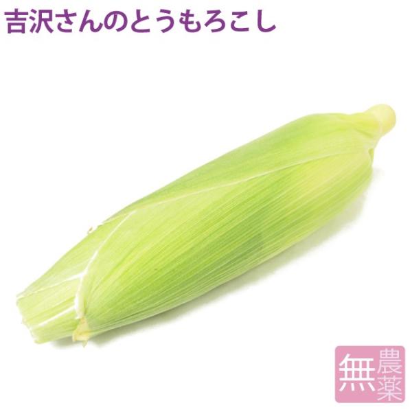 NlC@Ƃ낱 ʌY _͔| y1{z |Cg Hi