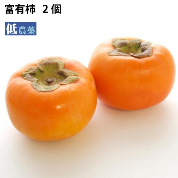 xL`2 ޗǌYxL`  |Cg Hi