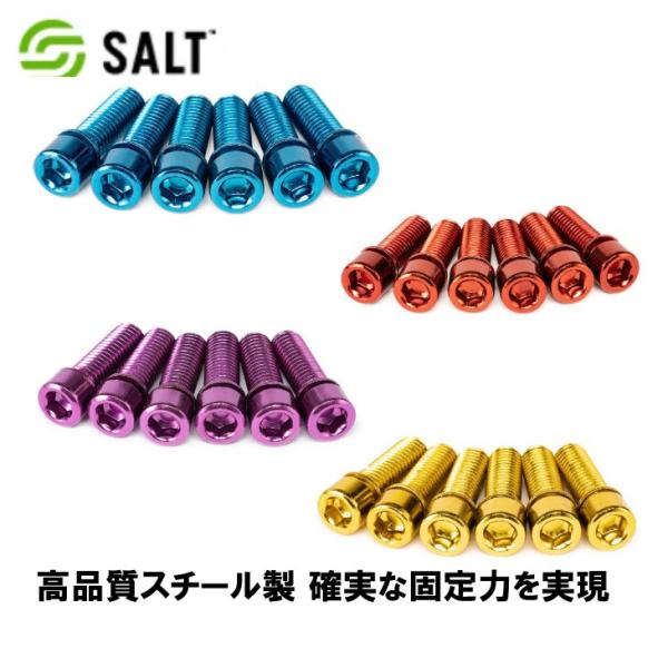 (即納あり)(メール便対応商品)SALT ソルト SOLID STEM BOLTS ソリッド ステムボルトセット