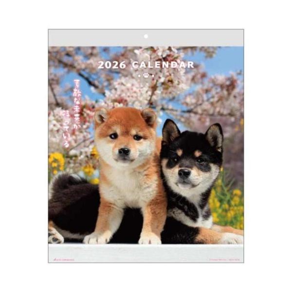 デザインいろいろお気に入りのカレンダーみつかる毎年好評いただいている[DOG ウォールカレンダー]キュートなワンちゃんたちが、毎月季節を感じる景色と共に、元気が出るメッセージをお届けします。サイズ：310x370mm仕様：13枚綴り壁掛け用...