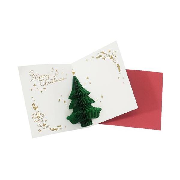 njJ~jJ[h NX}XJ[h [X APJ tO[eBOJ[h