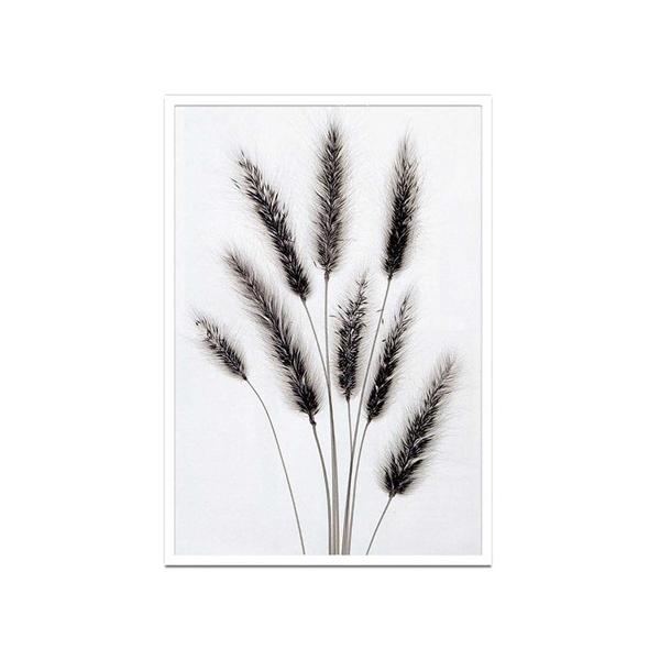 A[gt[ gQA[g XeB[u}C[Y Hare's Tail Steven NDMeyers H ISM-70059