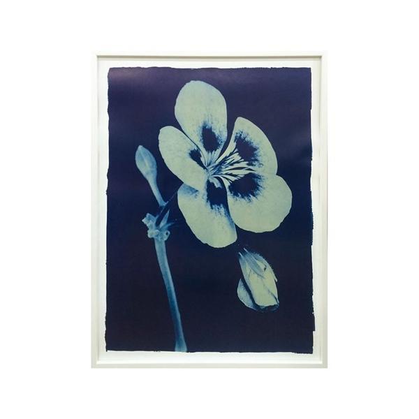 �A�[�g�t���[�� �����g�Q���A�[�g Open Geranium 2 2002 Thomas Hager ���H�� ITH-60617 ���_���A�[�g �Ǌ|���p