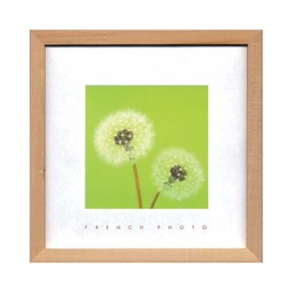 �ʐ^ �A�[�g French Photography �t�����`�t�H�g�O���t�B�[ Dandelions ���H�� ZFP-51913