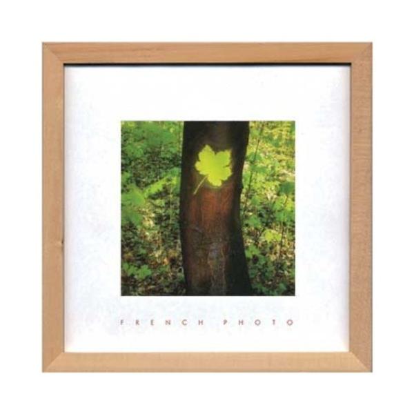 French Photography �ʐ^ �A�[�g �t�����`�t�H�g�O���t�B�[ Maple leaf ���H�� ZFP-51914 22×22×2cm