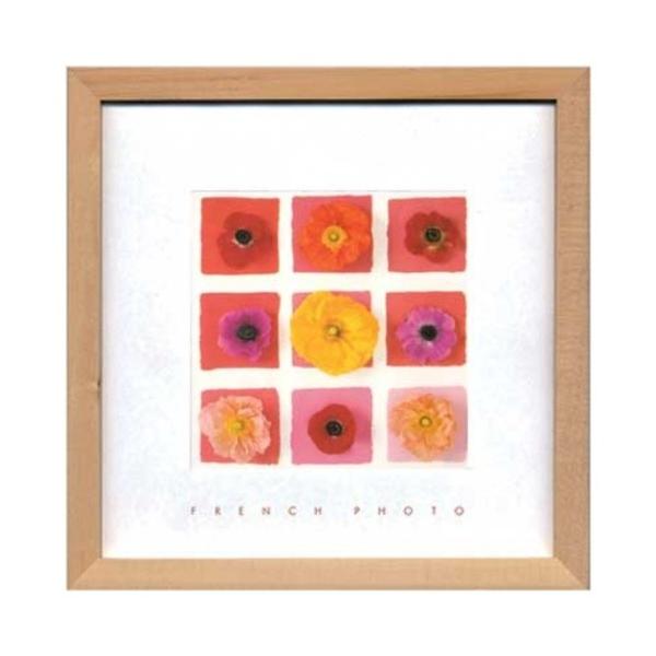 French Photography �ʐ^ �A�[�g Nine Flower on nine squares �t�����`�t�H�g�O���t�B�[ ���H�� ZFP-51915 22×22×2cm