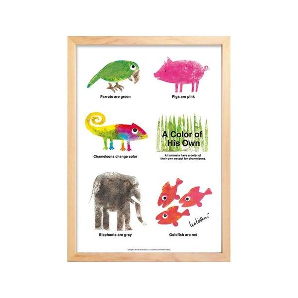 A[gt[ A[g|X^[ A Color of His Own Animals I I[j Leo Lionni H ZLL-61859