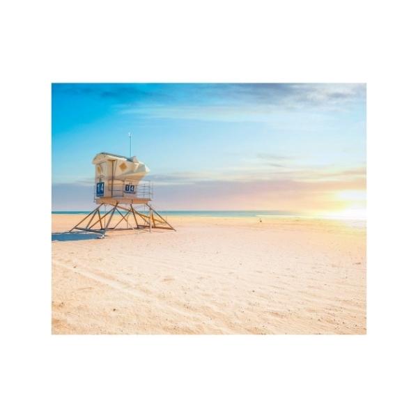 LoXA[g Petit Canvas Art neBgr[` 500x400mm H ZPT-62072