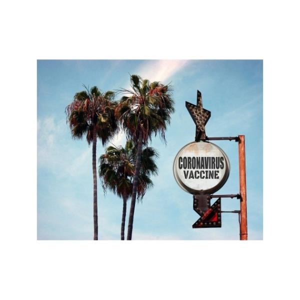 LoXA[g Petit Canvas Art CORONAVIRUS VACCINE 500x400mm  H ZPT-62073 Mtg Ǌ|