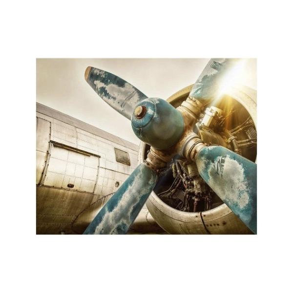 LoXA[g Petit Canvas Art jvy 500x400mm H ZPT-62076