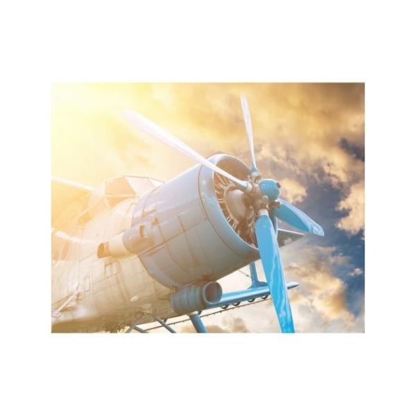 LoXA[g Petit Canvas Art [ĂƔs@ 500x400mm H