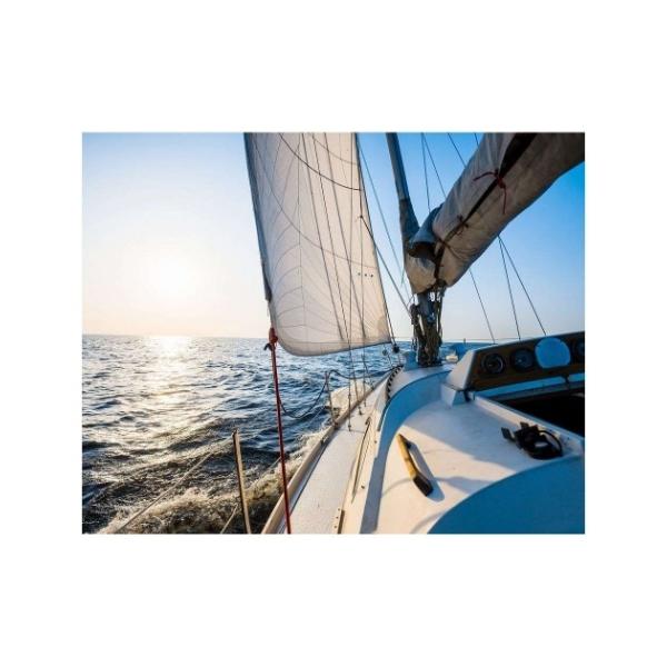 LoXA[g Petit Canvas Art oq锒bg 500x400mm  H