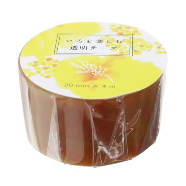 y e[v 20mm }Xe }XLOe[v ~U Green Flash fR[V 