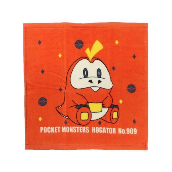 ウォッシュタオル シャーリング ハンドタオル ポケットモンスター