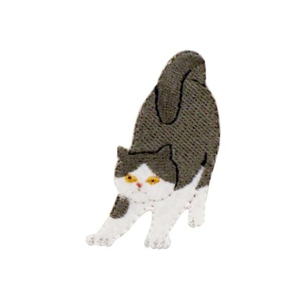 by C܂܂ȃ|[Y̔Lby lR5 ˂  |pi ACڒ V[  w ۈ牀 ct w LbY qǂ