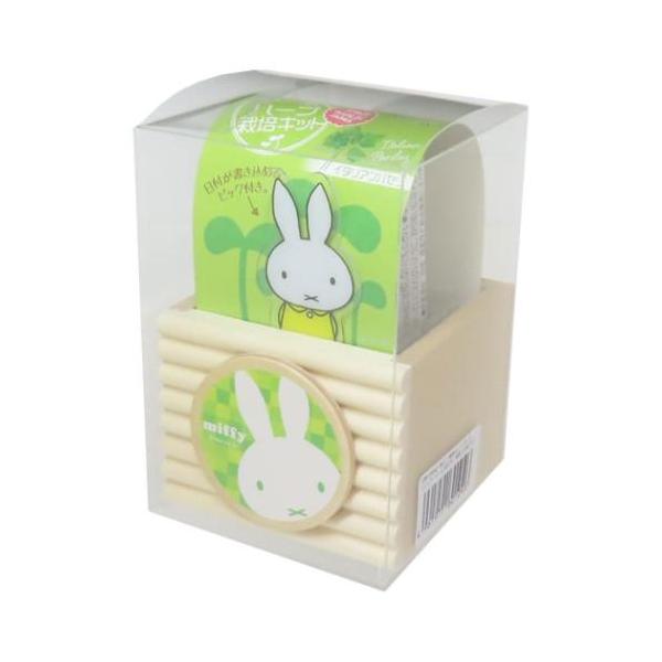 おしゃれでかわいい日用品＆インテリア雑貨みつかるディックブルーナの人気絵本[miffy/ミッフィーちゃん]グッズにまたまた可愛いnewアイテム登場こちらは小さな木のプランターで育てる[栽培キット]木製プランターは並べても可愛いですよかわいい...