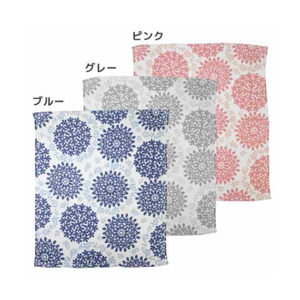 tbNt NX^I  Fucoca ZN ӂ @