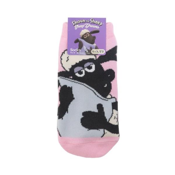 wp C WjA \bNX Ђ̃V[ ₷