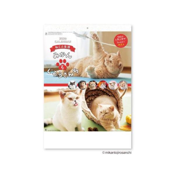 デザインいろいろお気に入りのカレンダーみつかるSNSで大人気！「みかんとじろうさんち」の猫たち6匹が送る日常ねこちゃんの魅力が詰まった壁掛けカレンダーですこのカレンダーでしか見られない、6匹の撮りおろし写真も入っています大きなサイズで使いや...