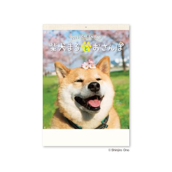 デザインいろいろお気に入りのカレンダーみつかるInstagramで237万人がフォローする人気者、誰もがハートを奪われる柴犬まるの魅力を535x380mmの特大サイズで楽しめるカレンダーですかわいさも使いやすさも特大ですサイズ：約380x5...