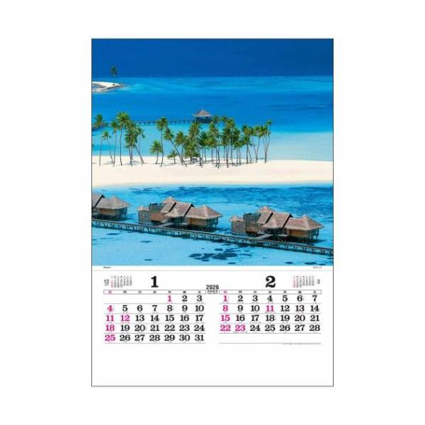 30%OFF】2026 Calendar 壁掛けカレンダー2026年 トーハン DX マリン