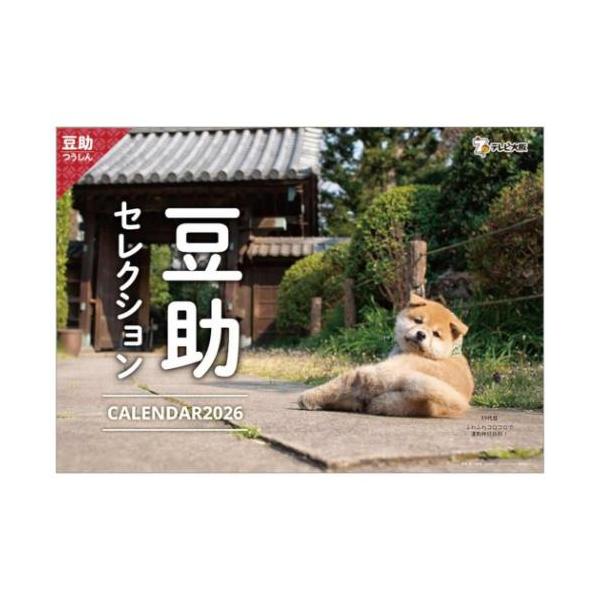 豆助 EgvEW4wUMAEqrqC.jpg?format=jpg