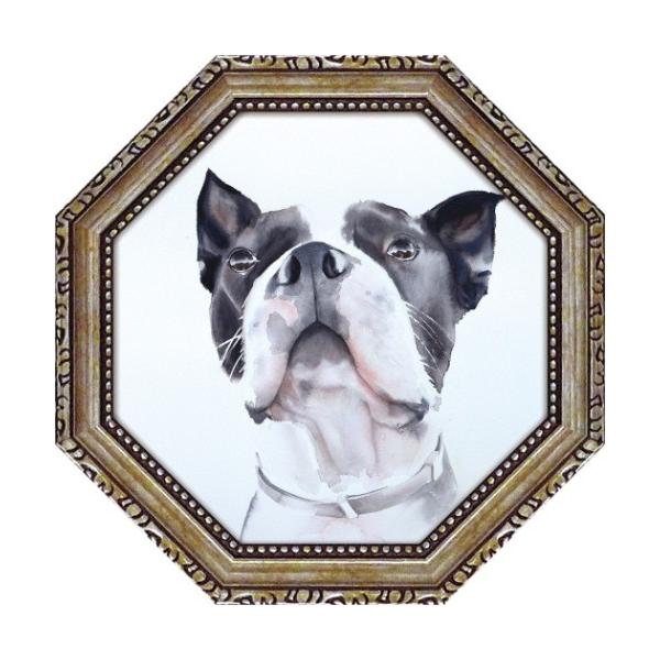  p ~jQ A[gt[ GC~[EfEo o[h EHb`O [p[ AD-02551