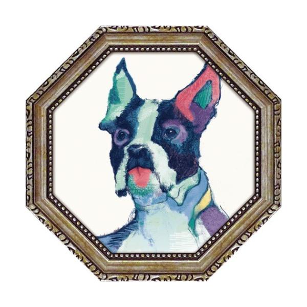  p ~jQ A[gt[ V[Y EH[^[J[ GC[EeB [p[