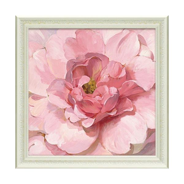 ubVO sIj[ t[A[g _tCEiC DN-12031 [p[