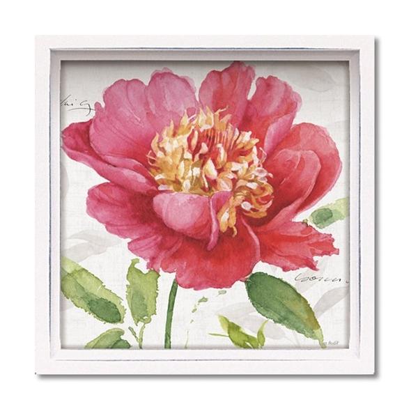 nX ~jA[gt[ t[A[g T I[fBbg sN K[f1 [p[ 13.5x13.5x3.5cm zt |X^[ CeA