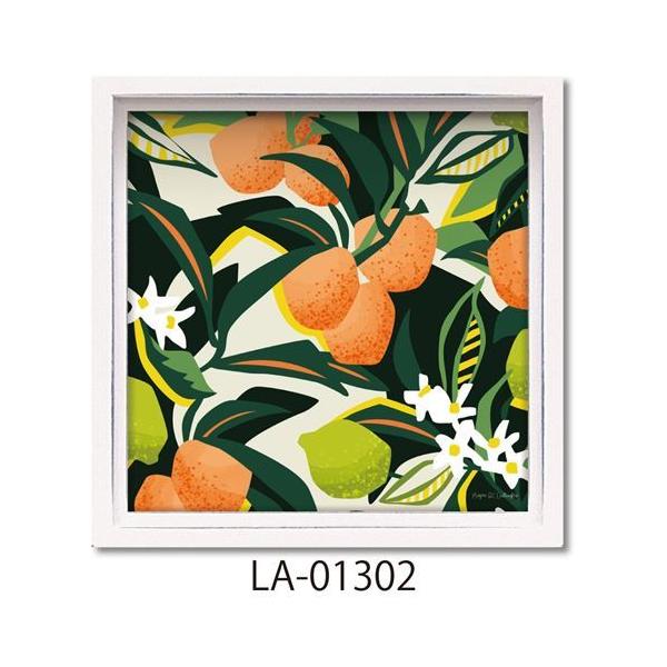 nX~jA[gt[ t[A[g IWC ~[KMK[ [p[