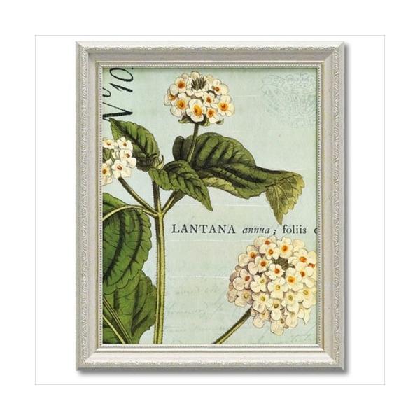 t[A[g Art Frames {^j[N u[1 Ch Abv X^WI [p[ 33×40.5cm Mtg  zt|X^[