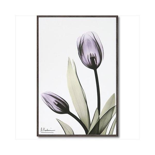 LoX A[g X RAY t[ A[g `[bv STCY [p[ 20.5×30.5cm  tHg CeA