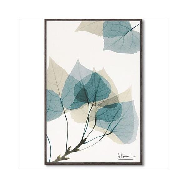 t[ A[g LoX A[g X RAY [t1 STCY [p[ 20.5×30.5cm