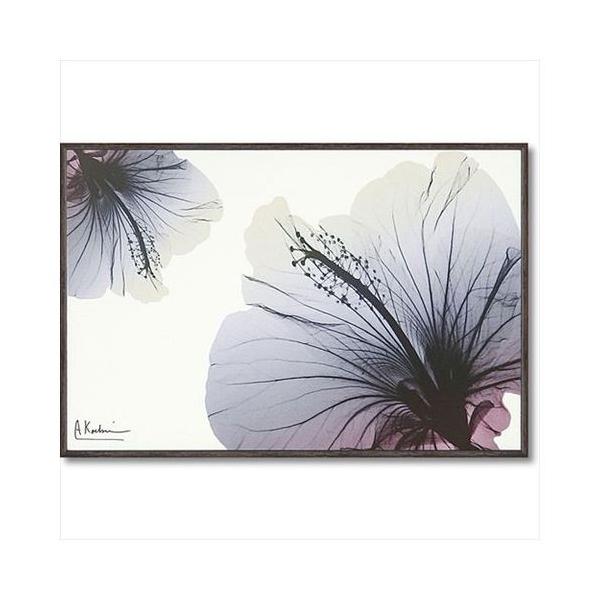 t[ A[g LoX A[g X RAY  nCrXJX STCY [p[