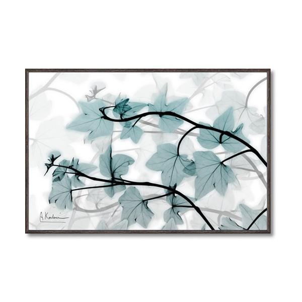 t[A[g X RAY LoXA[g Ao[g N[cB[ ACr[iSTCYj [p[ 30.5x20.5cm zt _