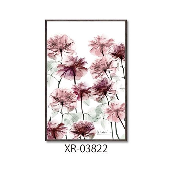 X RAYLoXA[g t[A[g t[xbh STCY Ao[gN[cB[ [p[ XR-03822 zt