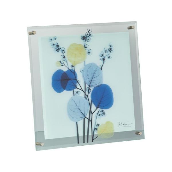 X RAY KXA[g t[A[g Ao[gN[cB[ Jt[J MTCY [p[ XR-05013