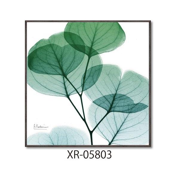 t[A[g X RAYLoXA[g Ao[gN[cB[ [JCg XNGAS [p[ XR-05803