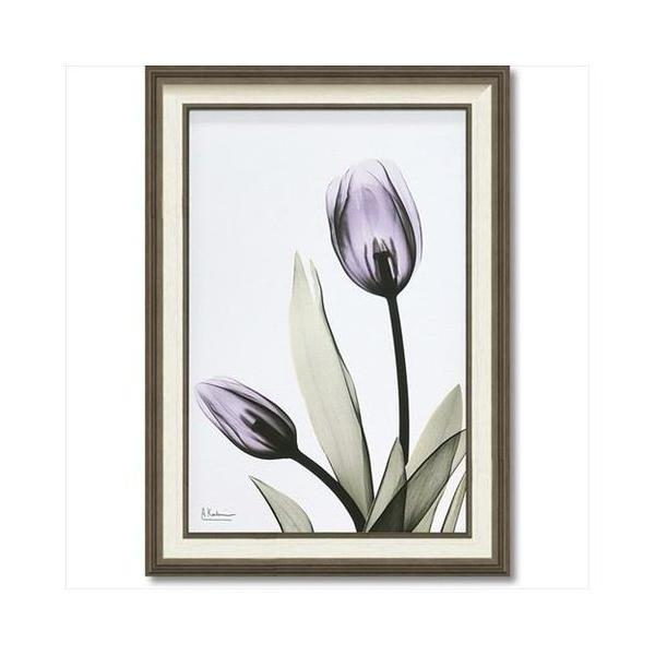 LoX A[g X RAY t[ A[g `[bv MTCY [p[ 50×70cm  tHg