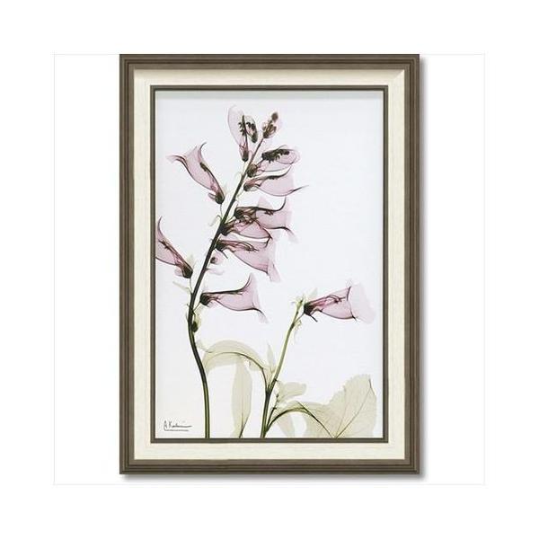 LoX A[g X RAY t[ A[g  TrA MTCY [p[ 50×70cm