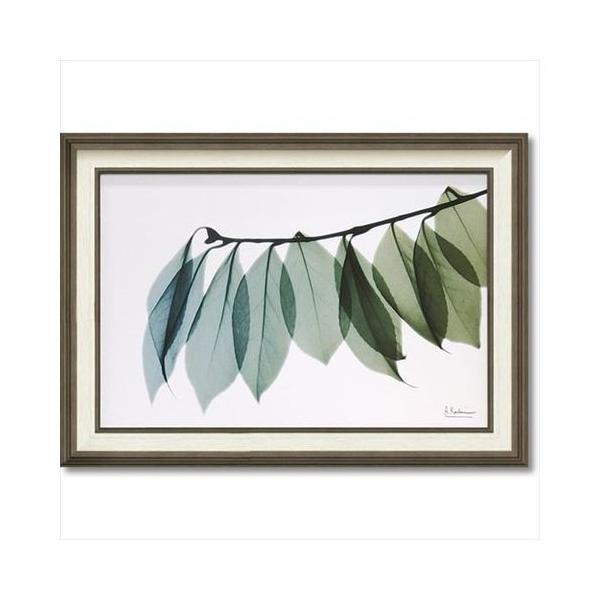 t[ A[g LoX A[g X RAY [t2 MTCY [p[ 50×70cm