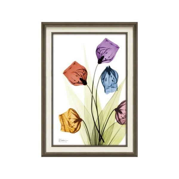 t[A[g X RAY LoXA[g Ao[gN[cB[ T_[\jA MTCY [p[ XR-12014